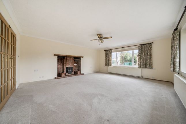 The Conifers, Blandford Hill, Blandford Forum photo 3