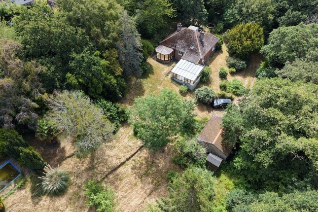 Tinkers Coppice, Victoria Avenue, Shanklin photo 2
