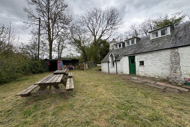 Llwyncelyn, Ammanford photo 4