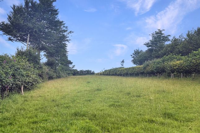 Halsgrove Farm - LOT 3,, Withypool, Somerset photo 4
