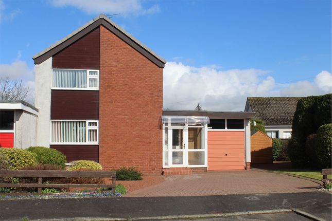 Thumbnail Semi-detached house for sale in 5 Nithsdale Place, Dumfries
