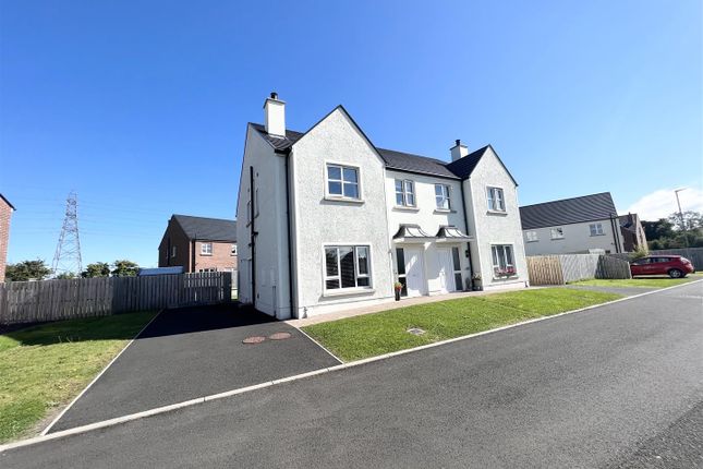 Thumbnail Semi-detached house for sale in Coneyville, Londonderry