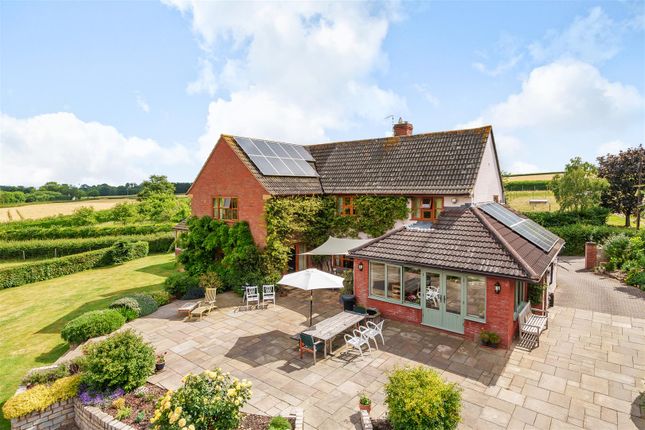 Thumbnail Detached house for sale in Shoreditch, Taunton