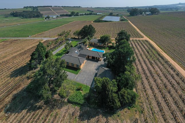 Farmhouse for sale in Stellenbosch Wine Farm, Vlaeberg Road, Stellenbosch, Western Cape, 7600
