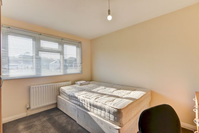 Bright And Well-Maintained Bedroom With Ample Natu...