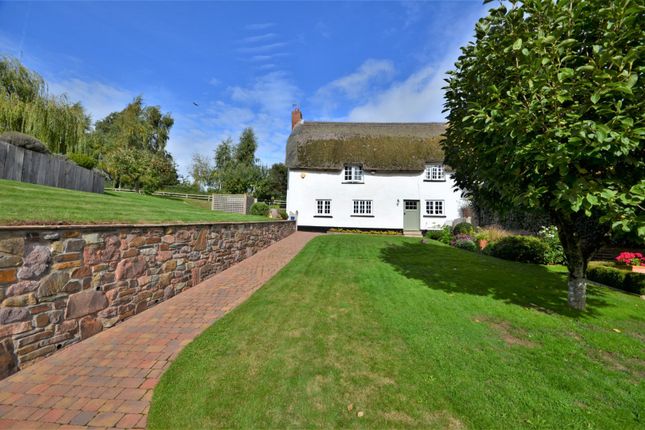 Thumbnail Semi-detached house for sale in Higher Neopardy, Crediton, Devon