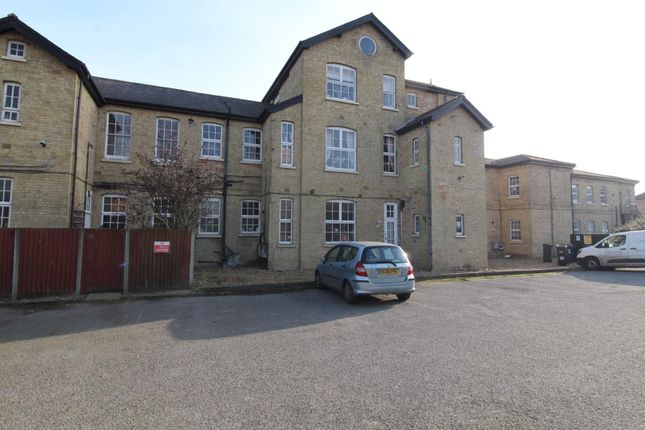 Rear Elevation