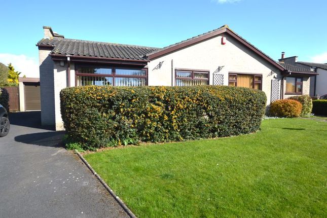 Thumbnail Bungalow for sale in Southridge Heights, Bleadon, Weston-Super-Mare