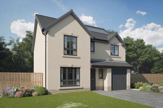 Thumbnail Detached house for sale in "The Hayling" at Brixwold View, Bonnyrigg
