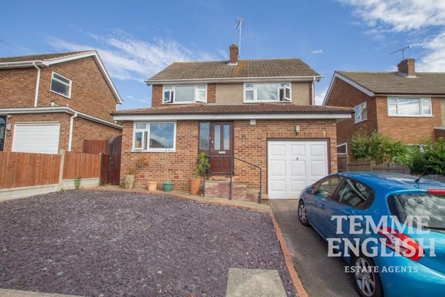 Thumbnail Detached house to rent in Thompson Avenue, Colchester