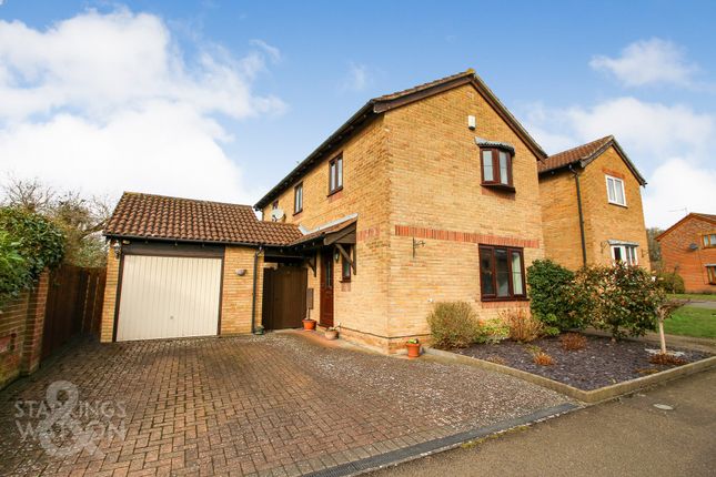 Thumbnail Detached house to rent in All Saints Road, Framingham Earl, Norwich