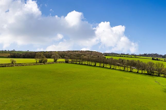 Land for sale in Trinity Hill Road, Combpyne, Axminster