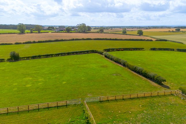 Landscape1
