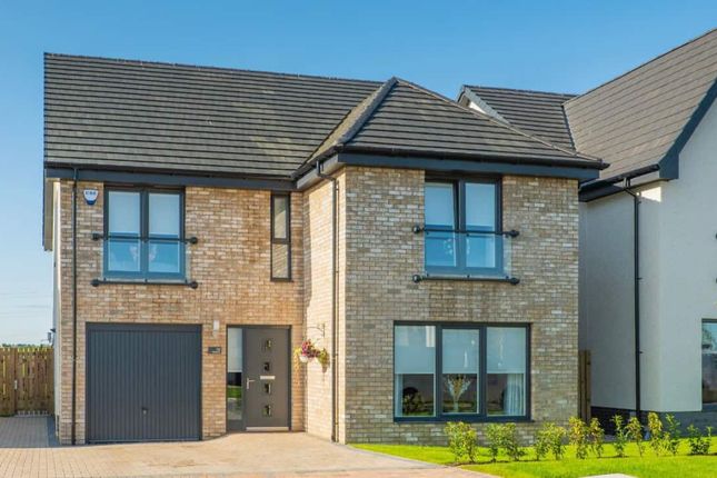 Thumbnail Detached house for sale in "Lawrie Grand" at Golf View Road, Inverness