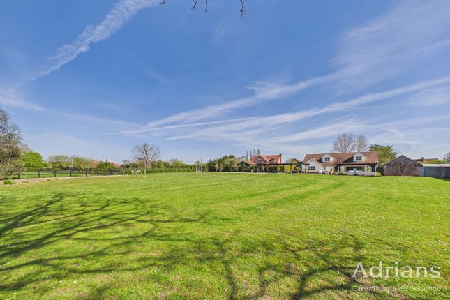 The Longview, School Lane, Chelmsford photo 3