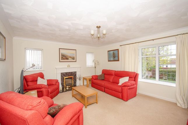 12, Blackhorse Lane, Bristol photo 2