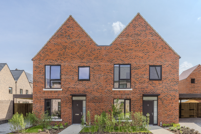 The Willow, Number 519