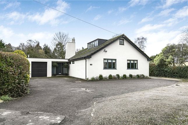 Thumbnail Detached house for sale in Green Road, Egham, Surrey