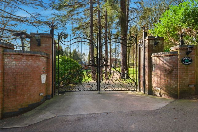 2, Haggnook Wood, Nottingham photo 2