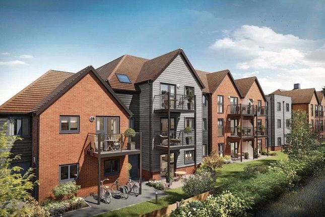 Thumbnail Flat for sale in Abbotswood Common Road, Romsey, Hampshire