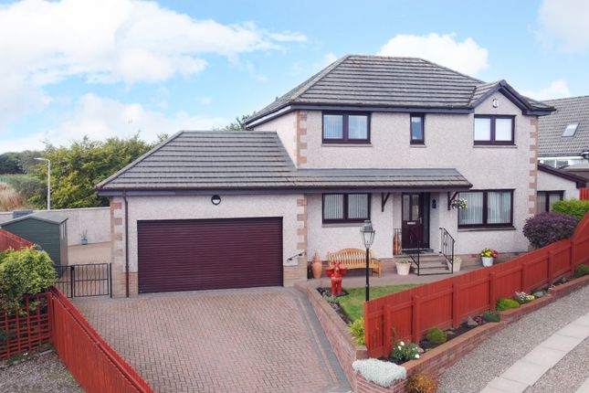 Thumbnail Detached house for sale in Doctor Lang Place, Brechin