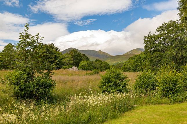 Lodge for sale in Dalnacroich, Strathconon, Muir Of Ord, Highland