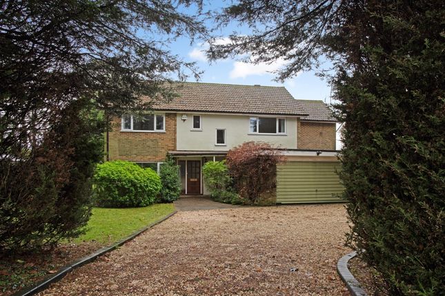 Thumbnail Detached house to rent in Westhall Road, Warlingham