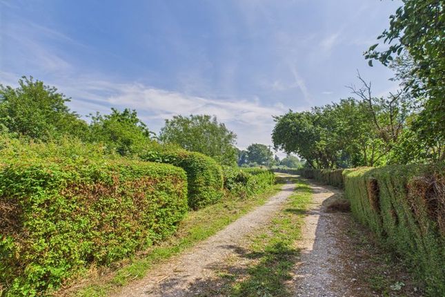 Lock House, Westover, Langport photo 4