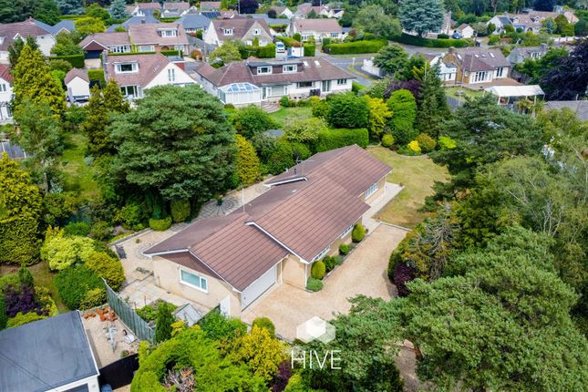4-bed house on Broken Ridge, Fir Tree Close, Ringwood, £675,000