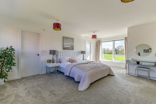 7, Romaine Road, Cranleigh photo 3