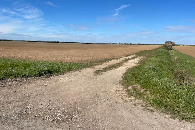 Lot 5 - 41.01 Acres (16.59ha) Of Grade 3 Arable La, Austen Fen, Louth photo 5