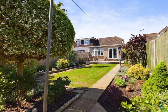 Thumbnail Semi-detached bungalow for sale in Ivy Road, Benfleet