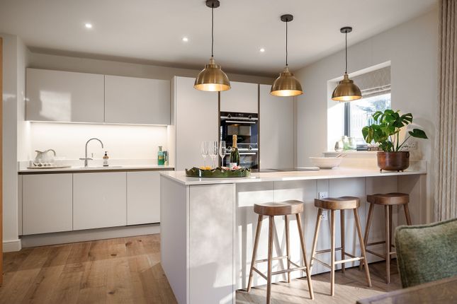 The Beech, Plot 11, The Residences at Eastwood Park, Falfield photo 2