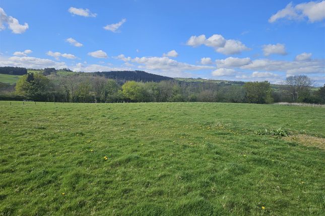 3.89 Acres, Gypsy Castle Lane, Hereford photo 4
