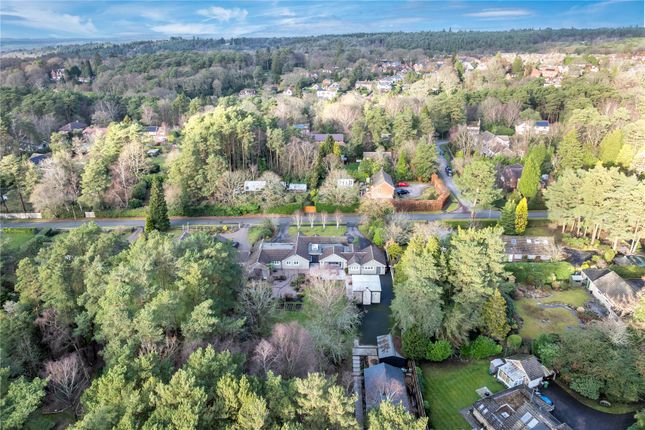 Copse Wood, 56, Kingswood Firs, Hindhead photo 2