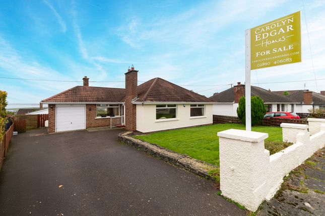 10 Dorrandale Road, Newtownards photo 3