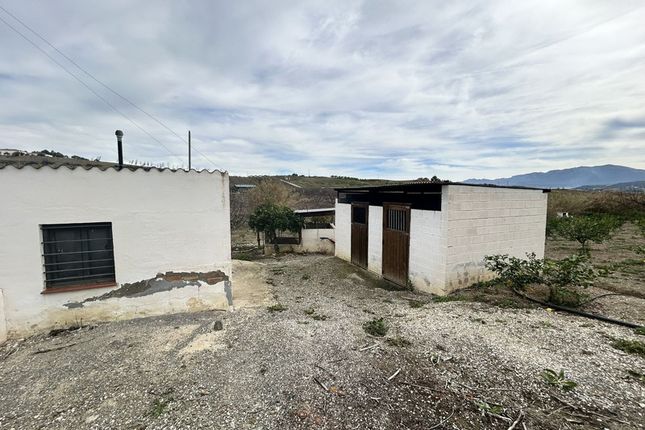 Detached house for sale in Finca - Cortijo, Coín, Málaga, Andalusia, Spain