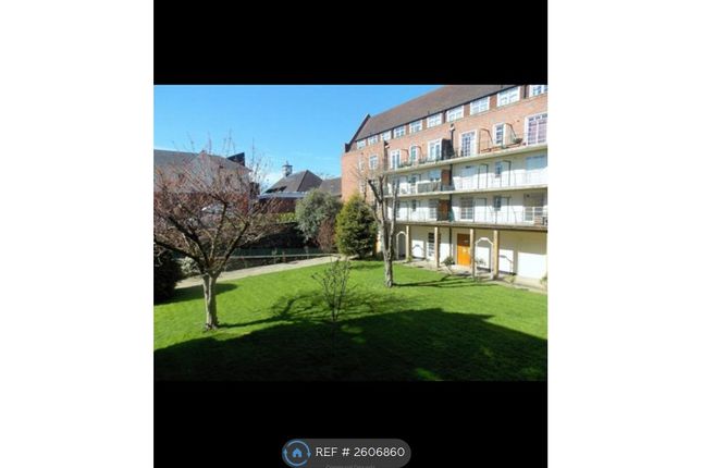 Communal Grounds
