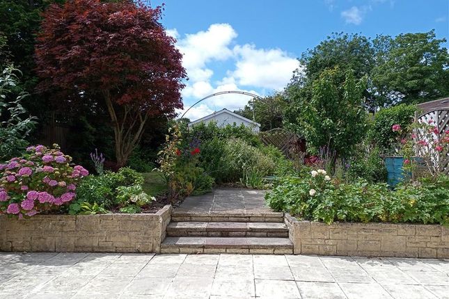 Maes-y-Coed, Maes-y-Coed, Cardigan photo 3