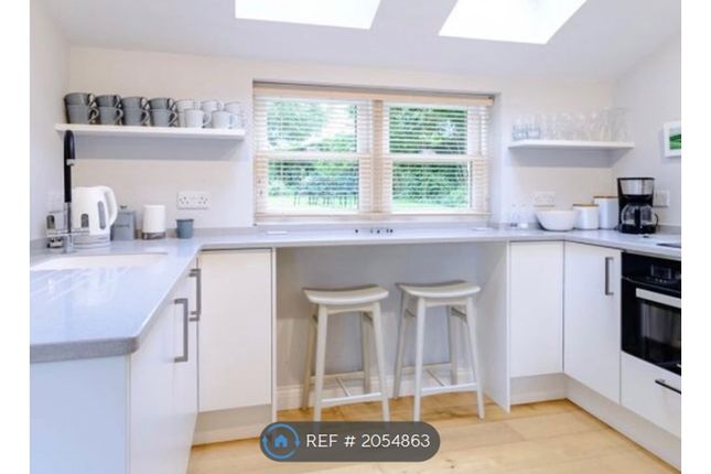 Detached house to rent in Church Street, Whixley
