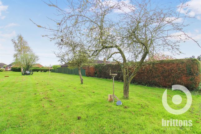 Thumbnail Land for sale in Smeeth Road, Marshland St. James, Wisbech