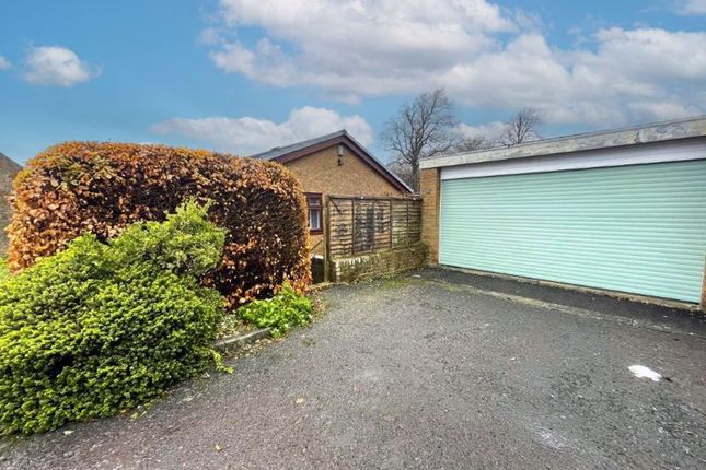 Bungalow for sale in The Limes, Stannington, Morpeth