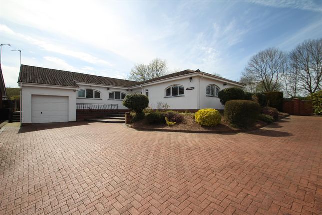 Bungalow to rent in Herm Close, Seabridge, Newcastle-Under-Lyme