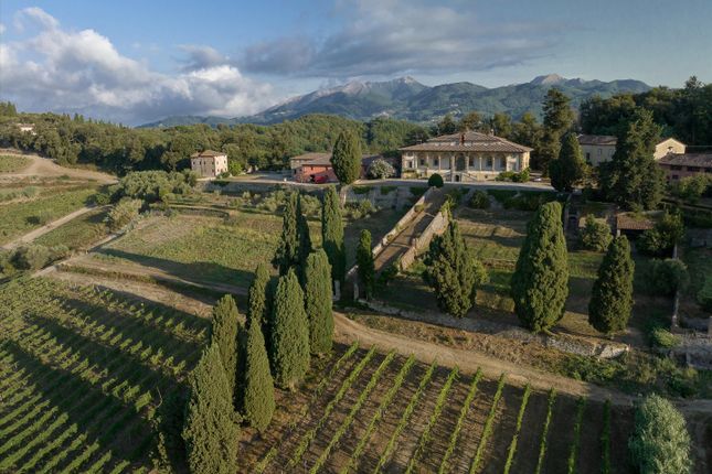 Thumbnail Farm for sale in Lucca, Tuscany, Italy