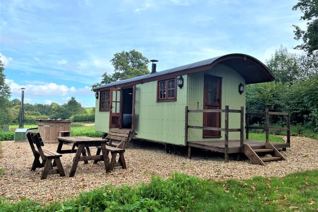 Thumbnail Lodge to rent in Broadclyst, Exeter