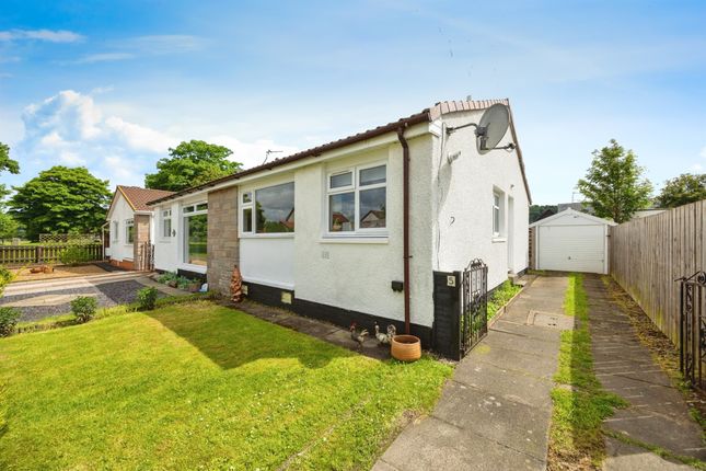 Thumbnail Semi-detached bungalow for sale in Chisholm Avenue, Stirling