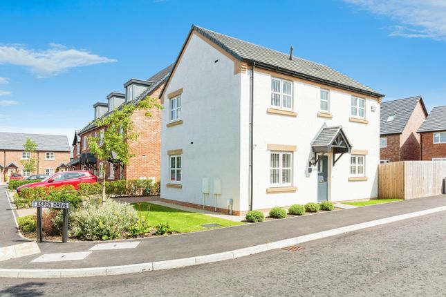 Thumbnail Detached house for sale in Hornbeam Drive, Preston