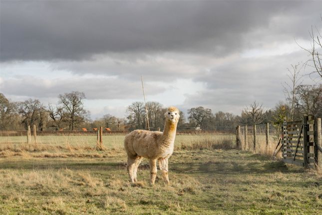 Paddocks