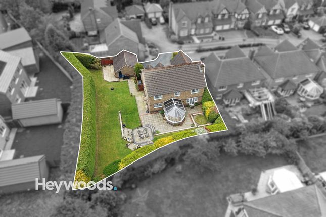 17 Bluebell Drive, Newcastle photo 3