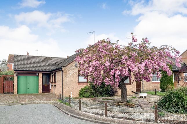 Thumbnail Detached bungalow for sale in Maple Close, Gayton, King's Lynn